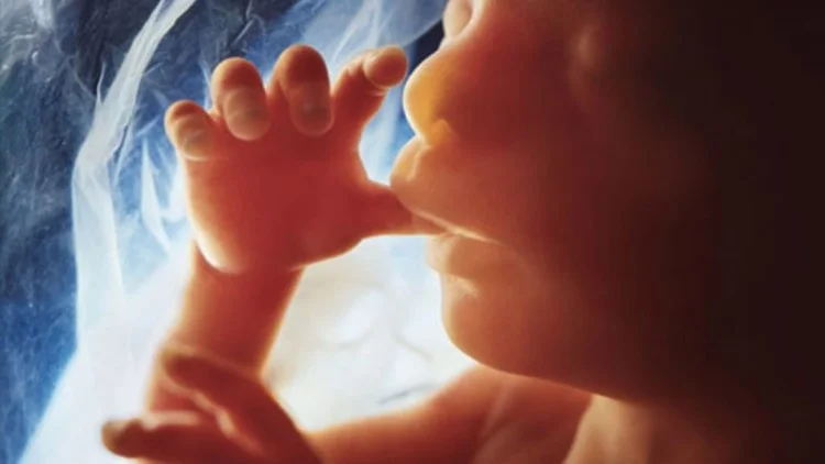 Aborto, “sacramento” de Satanás