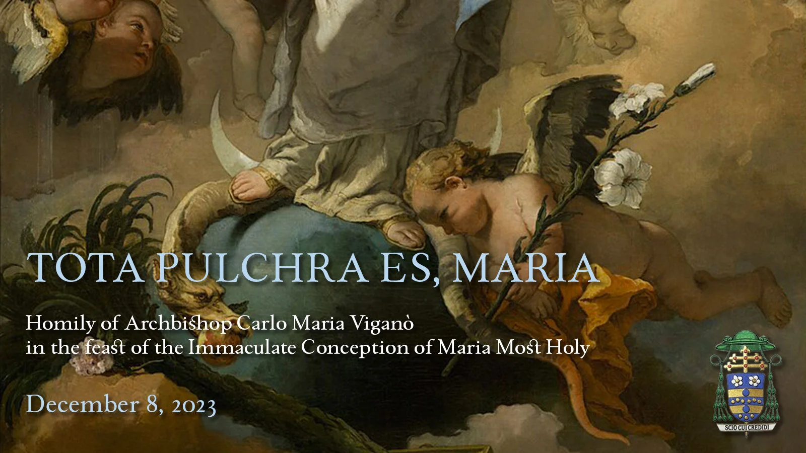 Homily on the feast of the Immaculate Conception